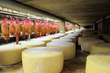 Brown’s Cheese Tour